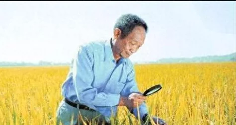 饥荒手游资讯，科学机器全面图鉴介绍与制作攻略揭秘