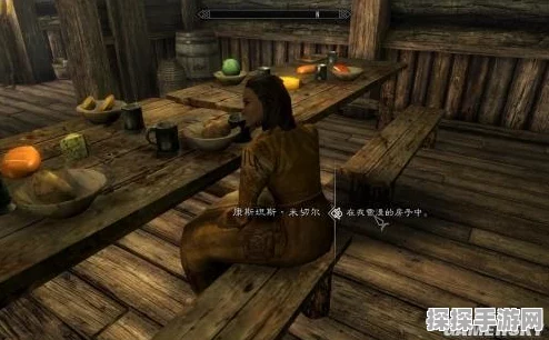 上古卷轴5炉火DLC深度玩法全解析，开启你的家园建设冒险之旅