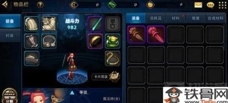 DNF手游宠物装备选择指南，助你战力飙升