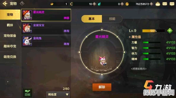 DNF手游宠物装备选择指南，助你战力飙升