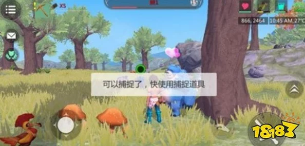创造与魔法手游中熊的饲养指南，揭秘熊的饮食习性