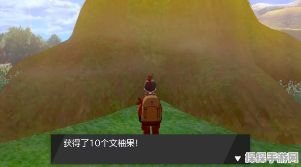 宝可梦剑盾DLC2冠之雪原，探索极寒之地，追寻传说宝可梦