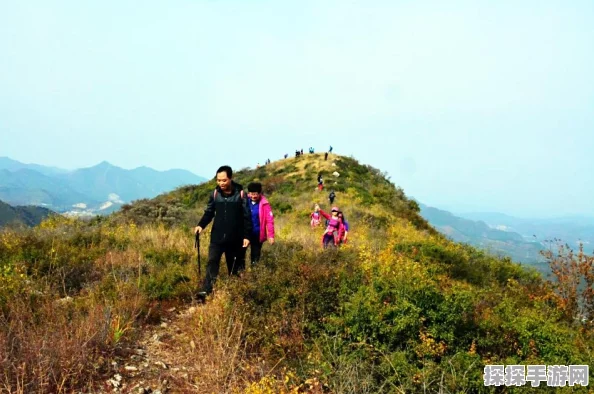 和平精英段位等级全面解析，攀登荣耀之路