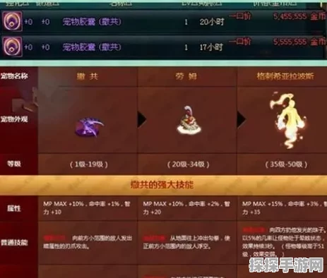 DNF萌噬噬宠物获取全攻略，助你轻松抱得萌宠归