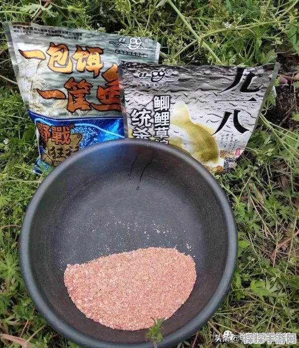 创造与魔法鱼饵配方深度测评与攻略揭秘