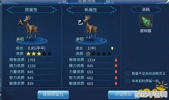 倩女幽魂手游灵兽洗练，从入门到精通的详细指南