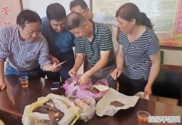 手游资讯，揭秘创造与魔法种地致富秘籍，资源管理下的财富增长新策略