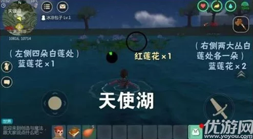 红蝙蝠进化之谜，探索创造与魔法手游新版本深度资讯