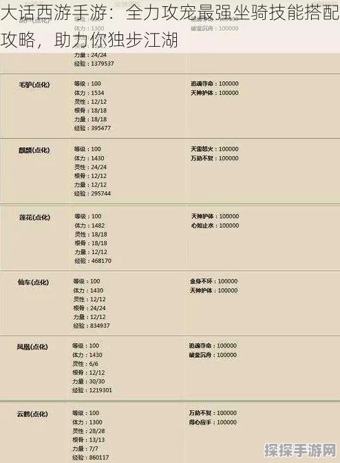 大话西游手游深度攻略，坐骑修炼必备，三坐骑高效技能推荐指南