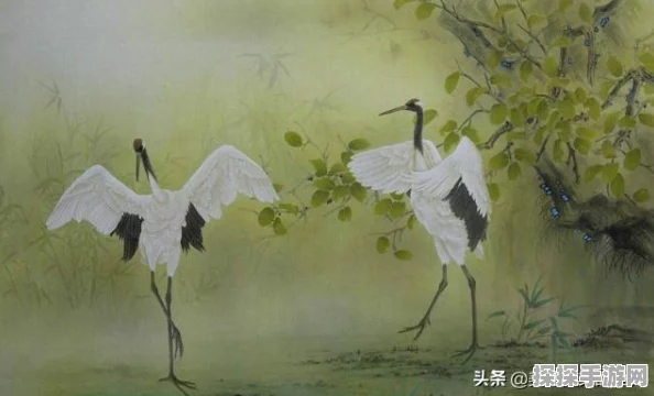 梦幻诛仙手游青云羽翼技能选择全攻略