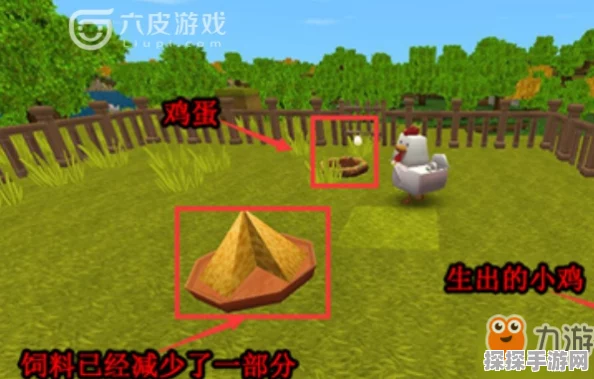 迷你世界鸡蛋获取全攻略，探索与养殖的双重乐趣