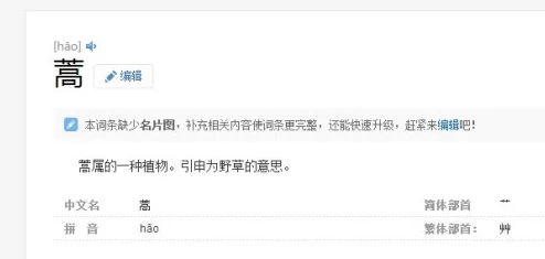 新月同行音希卡带词条搭配推荐