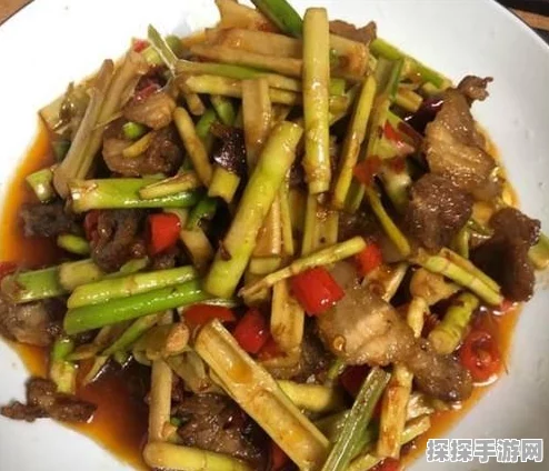太极熊猫2，幽灵船长幽灵的馈赠技能深度解析与实战应用