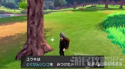 手游资讯，宝可梦剑盾喷火龙级咖喱制作秘籍大公开
