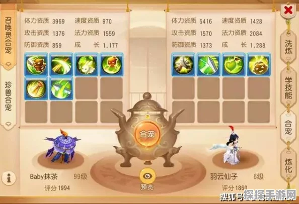梦幻西游无双2炼妖合宠深度攻略，掌握技巧，12技能极品宠物合成秘籍