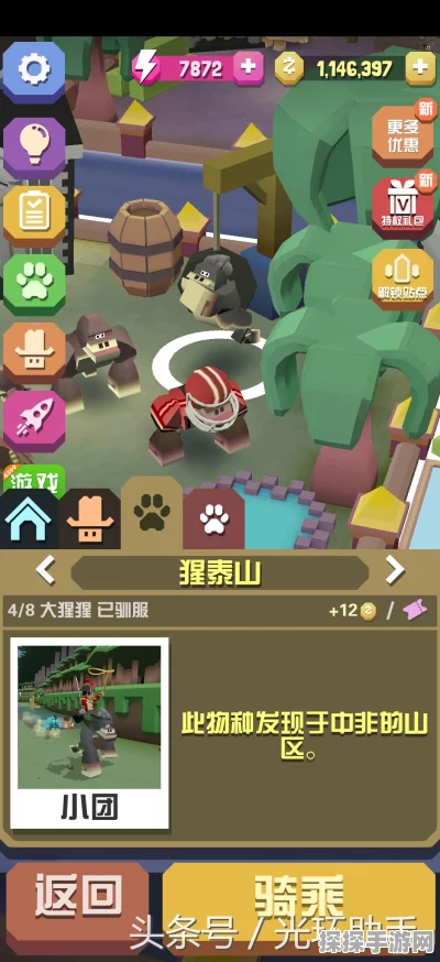 疯狂动物园刷金币全攻略，助你快速积累财富
