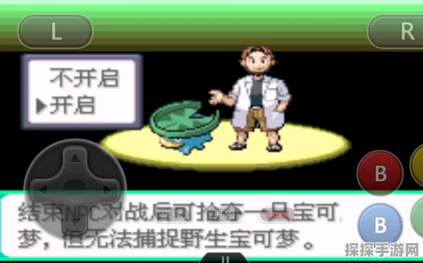 口袋妖怪绿宝石493宠物金手指，解锁手游新体验的深度资讯