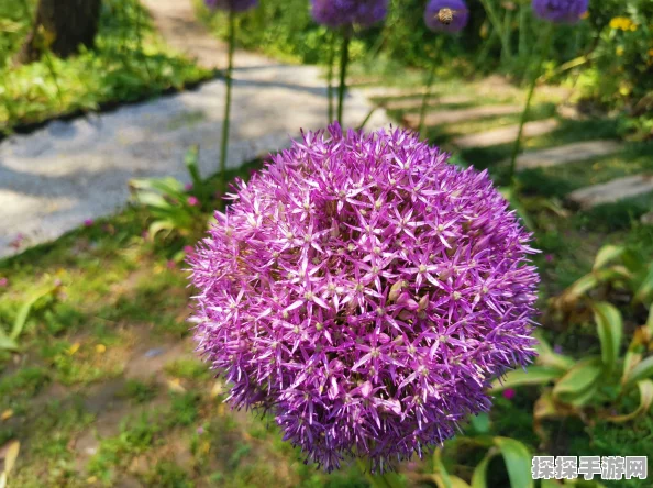 手游资讯，百花争艳，一梦江湖花朝节全外观惊艳曝光