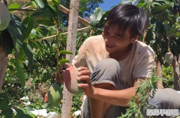 辐射4凯特NPC全位置攻略及资源管理优化深度指南