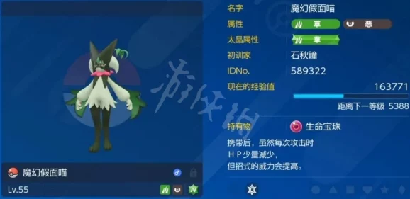 宝可梦大集结，魔幻假面喵持有物搭配与强化新动向深度解析
