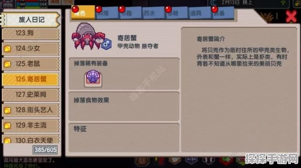 伊洛纳新黑星装备震撼登场，全面解析新黑星装备一览