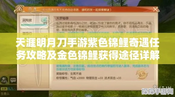 天涯明月刀手游紫色锦鲤任务全攻略，五条锦鲤寻觅之旅