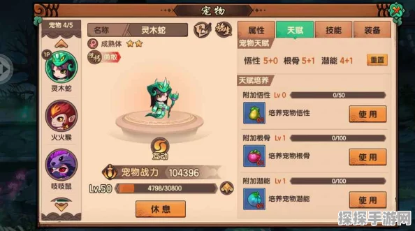 手游资讯，造梦无双宠物系统全面解析，最高等级揭秘