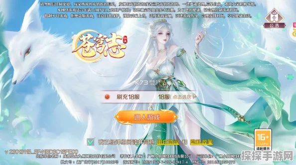 苍穹志手游深度攻略与最新资讯