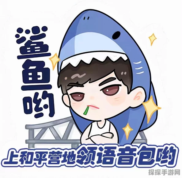和平精英礼包兑换码大全，CDK获取及兑换奖励全攻略