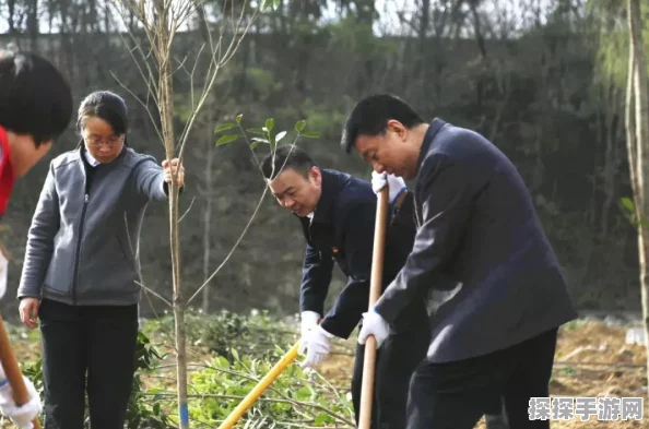天涯明月刀手游，揭秘机关木鸟的触发方法