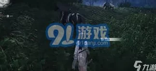 燕云十六声坐骑获取全攻略