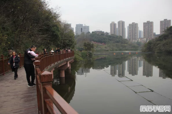 烟雨江湖新剧情揭秘，碧游教揽月婆婆触发条件全解析