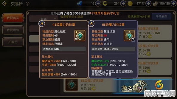 手游资讯，非匿名指令椿纹章搭配攻略深度解析