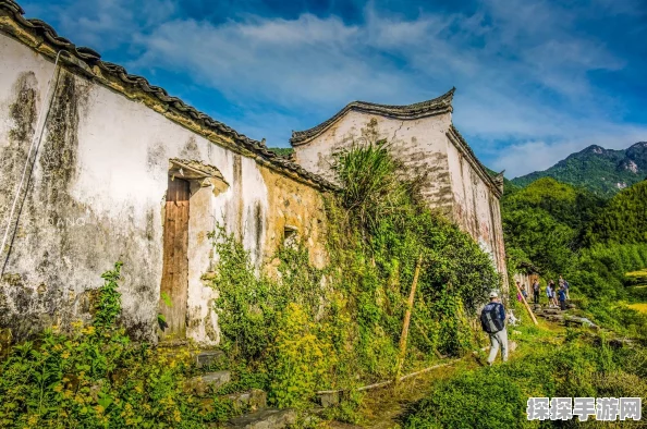 桃源深处有人家快速升级攻略，打造你的世外桃源