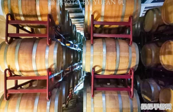 地下城堡2图15通关全攻略