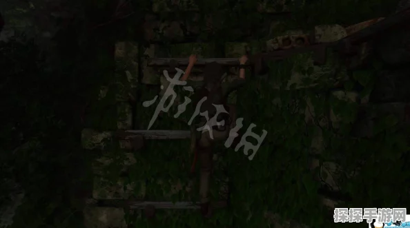 手游资讯，揭秘古墓丽影，暗影金字塔隐秘路径新探险