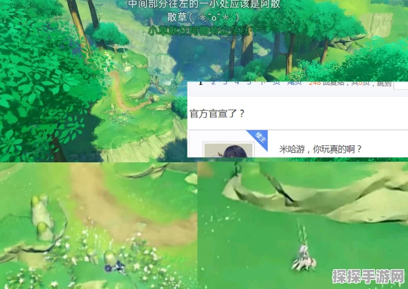 原神手游资讯，探寻花散里任务中的神秘之花
