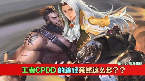 王者荣耀流行语揭秘，CPDD全面解析