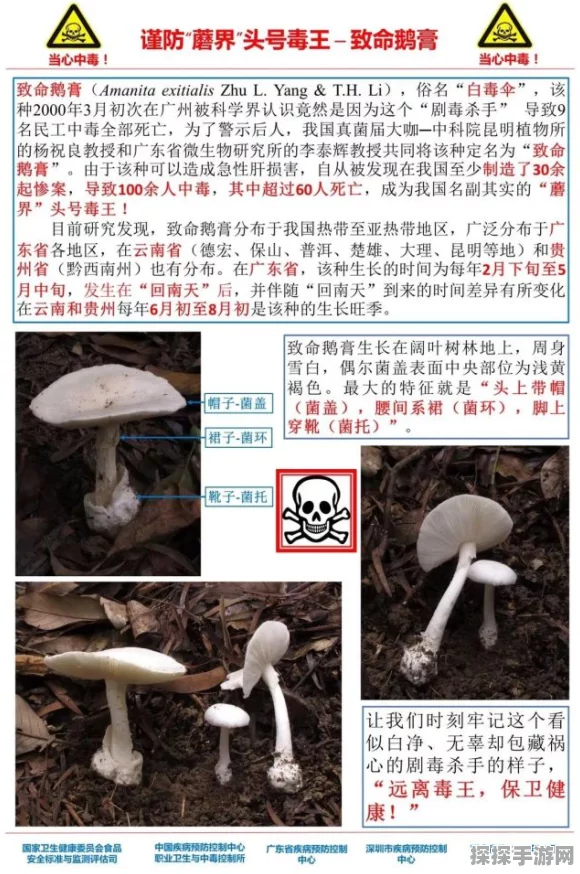 资讯类型，赛事报道与选手深度分析