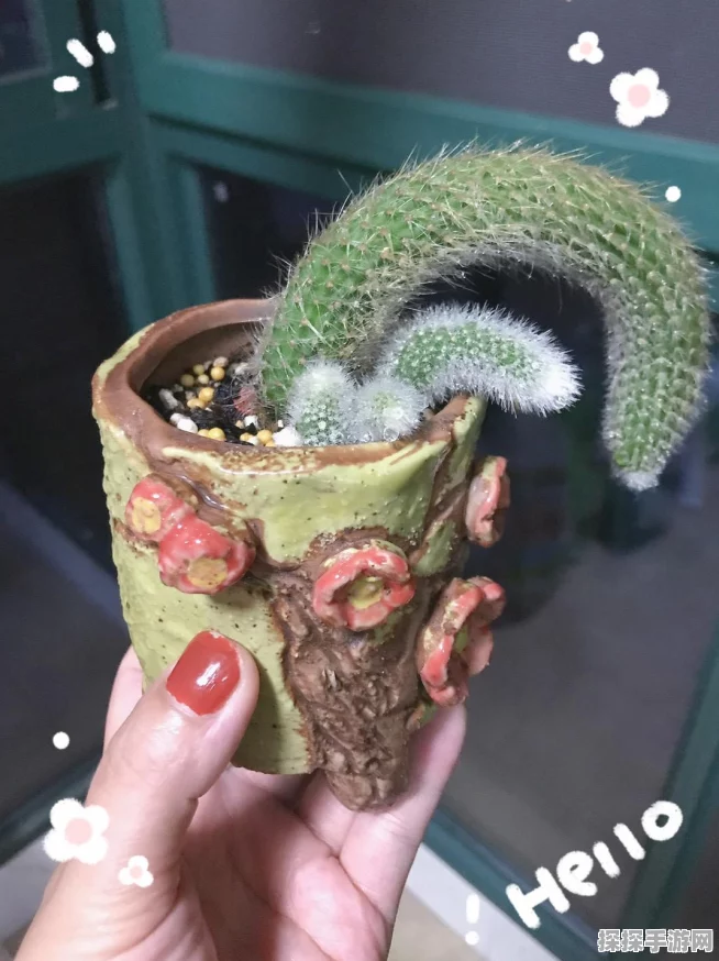 光遇手游，解锁双手拜拜动作的全面指南