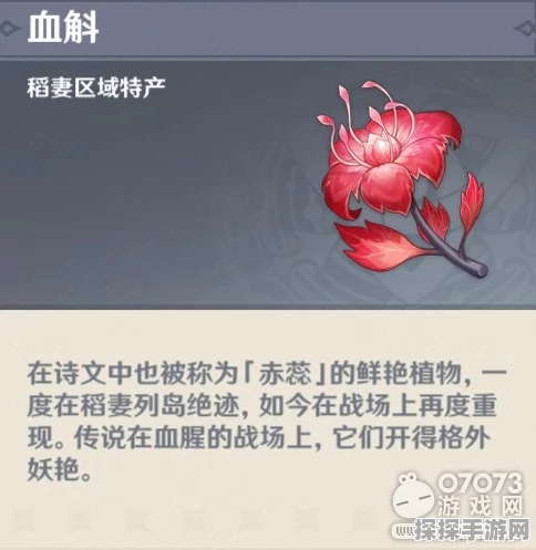 原神血斛采集高效地点与路线全揭秘