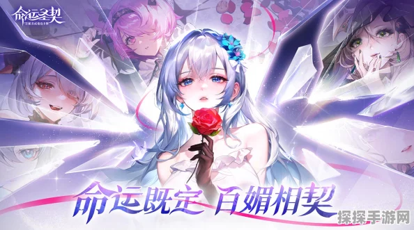 命运圣契魅影莱娅技能全解析