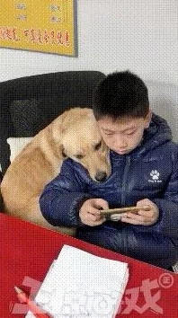 贪吃蛇大作战，搞笑名字大集合，欢乐升级新版本资讯