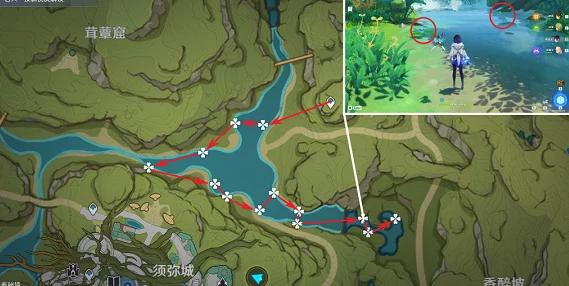 原神月莲采集路线全攻略，助你高效收集珍贵材料