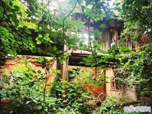 烟雨江湖泉州出海详尽攻略，解锁神秘海域的奇幻冒险
