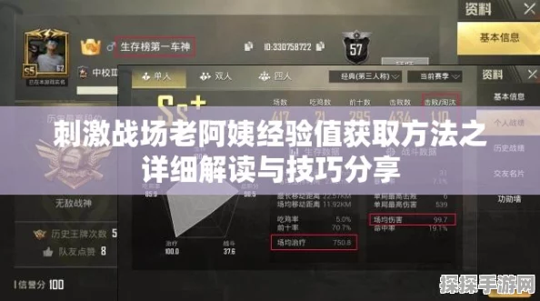 刺激战场老阿姨教你如何高效获取经验值，撰写手游资讯全攻略