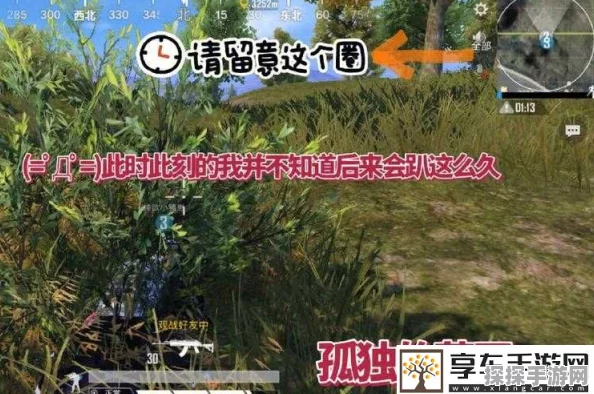 刺激战场老阿姨教你如何高效获取经验值，撰写手游资讯全攻略