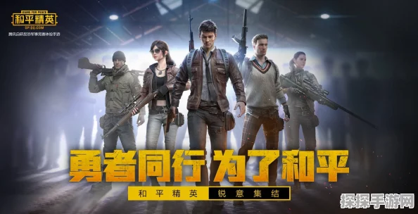 和平精英小雾神，揭秘电竞高手背后的荣耀征程