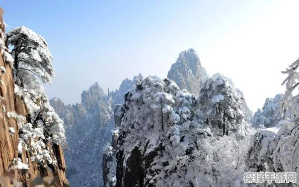 江南百景图徽州探险新版本深度解析，黄山云海探险记全攻略前瞻
