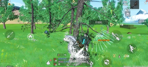 手游资讯，探索妄想山海中的柠檬树与柠檬叶采集位置